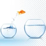 وکتور ماهی قرمز عید