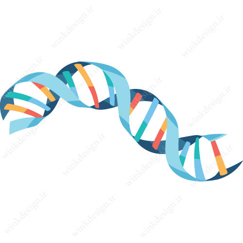 وکتور DNA