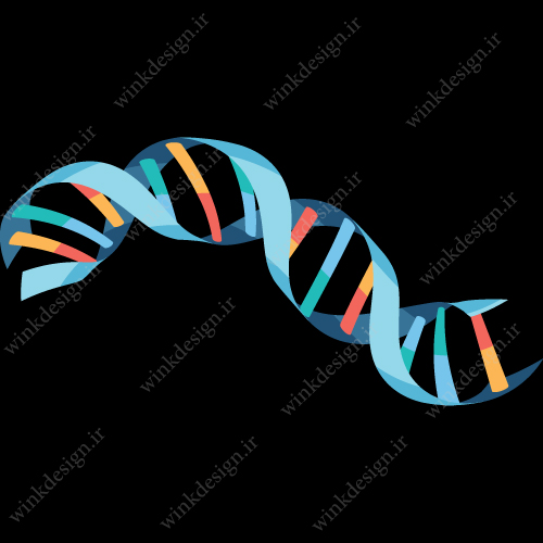 وکتور DNA